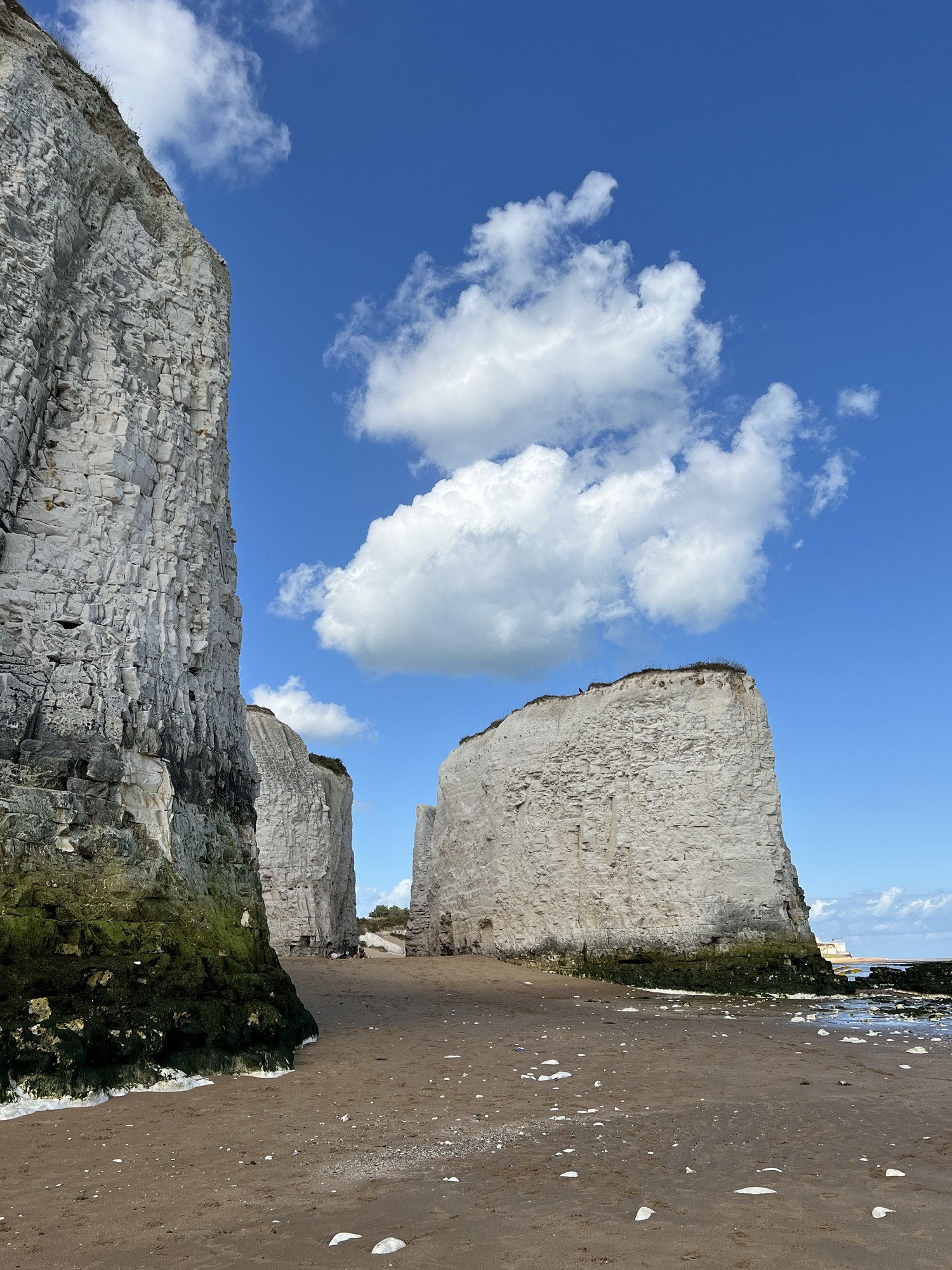 Back Exploring -BotanyBay – NATURE TABLE EXPLORER